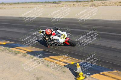 media/Nov-12-2023-SoCal Trackdays (Sun) [[5d1fba4e7d]]/Turn 14 Inside (2pm)/